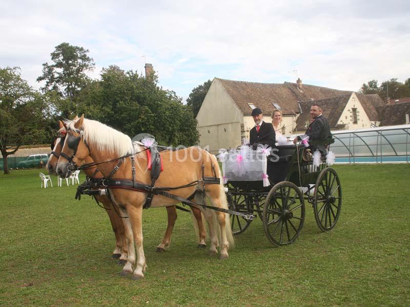 Location salle Barbey (Seine-et-Marne) - Aux Caprices De Barbey #11