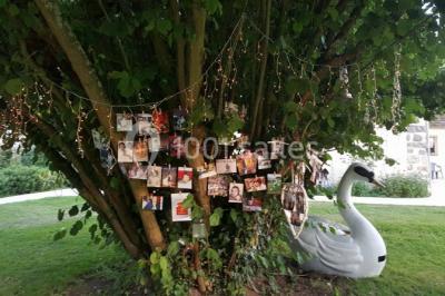 Location salle Barbey (Seine-et-Marne) - Aux Caprices De Barbey #16