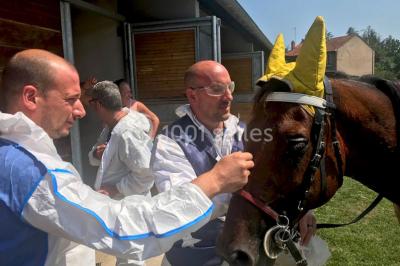 Location salle Feurs (Loire) - L'equi'forum #21