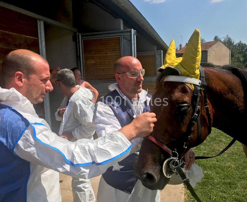 Location salle Feurs (Loire) - L'equi'forum #13