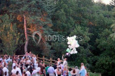 Deux lavabos blancs sur un meuble en bois avec miroirs, distributeur de savon mural et poubelle dans une salle de bain…