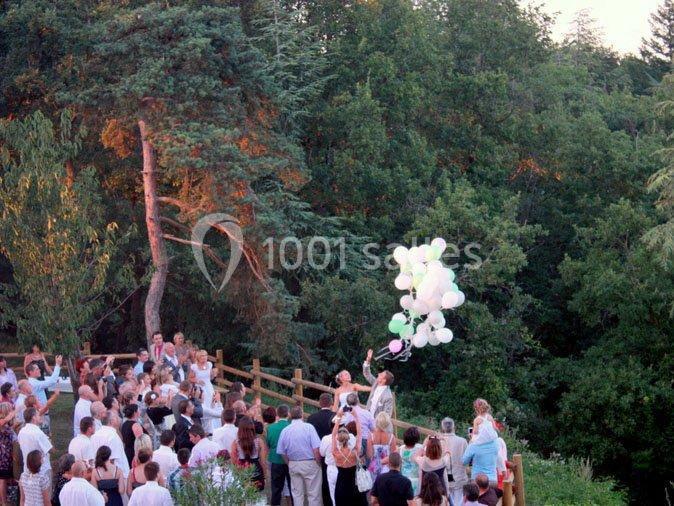 Un groupe de personnes rassemblées en extérieur près d'une barrière en bois, observant des ballons s'envoler dans un cadre…
