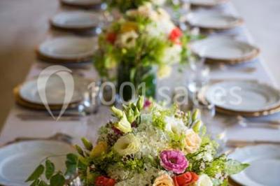 Location salle La Chapelle-Fortin (Eure-et-Loir) - Domaine des Evis #24