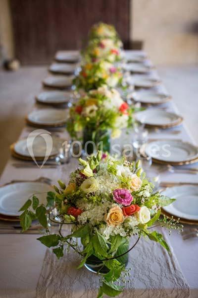 Location salle La Chapelle-Fortin (Eure-et-Loir) - Domaine des Evis #9