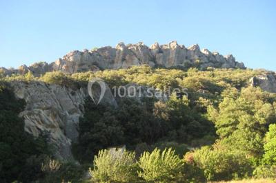 Location salle Malaucène (Vaucluse) - Domaine Des Tilleuls #22