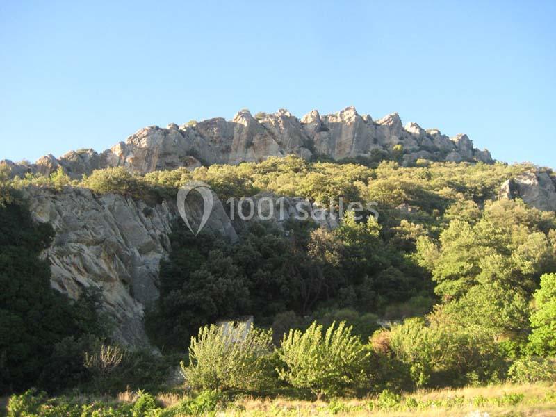 Location salle Malaucène (Vaucluse) - Domaine Des Tilleuls #7