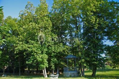 Location salle Malaucène (Vaucluse) - Domaine Des Tilleuls #22