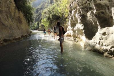 Location salle Malaucène (Vaucluse) - Domaine Des Tilleuls #22