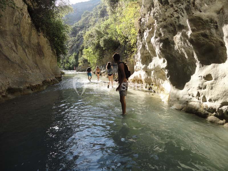 Location salle Malaucène (Vaucluse) - Domaine Des Tilleuls #18