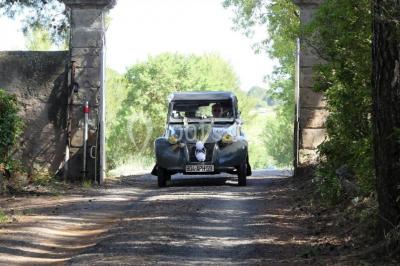 Tente en toile beige installée sur un sol gravillonné, entourée d'arbres, avec des lits aménagés à l'intérieur.