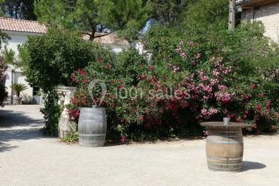 Tente en toile beige installée sur un sol gravillonné, entourée d'arbres, avec des lits aménagés à l'intérieur.