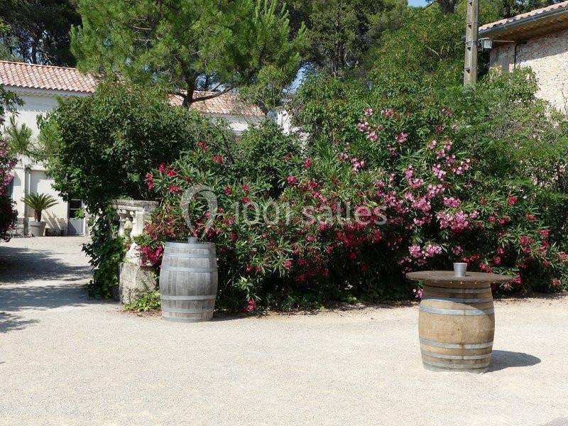 Deux tonneaux en bois devant des buissons fleuris et des bâtiments en pierre dans un espace extérieur ensoleillé.