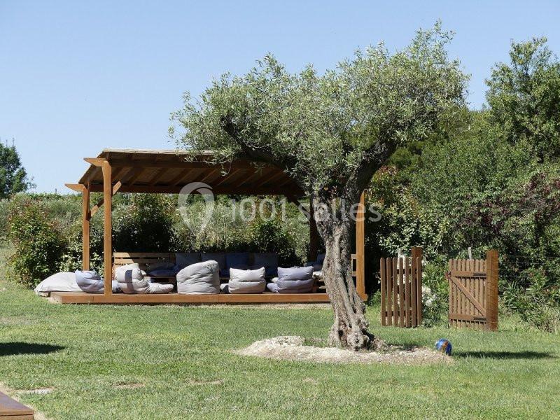 Terrasse en bois avec pergola, coussins et olivier au premier plan, entourée de pelouse et de végétation.