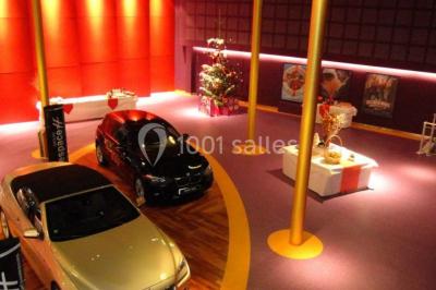 Location salle Dorlisheim (Bas-Rhin) - Cinéma du Trêfle #18