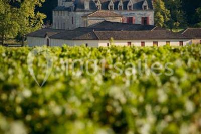 Location salle Léognan (Gironde) - Château Olivier #9
