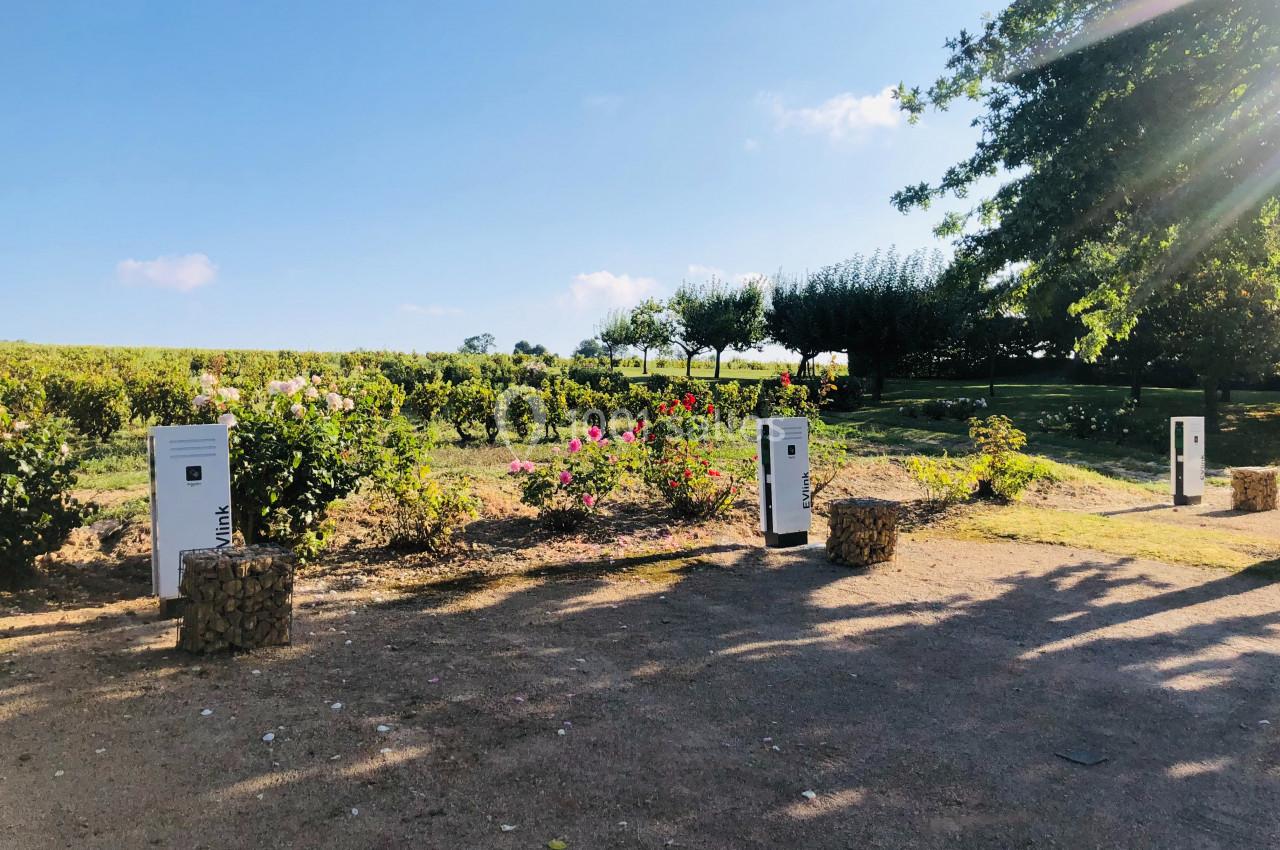 Bornes de recharge électrique installées dans un jardin paysager entouré de vignes et de fleurs.