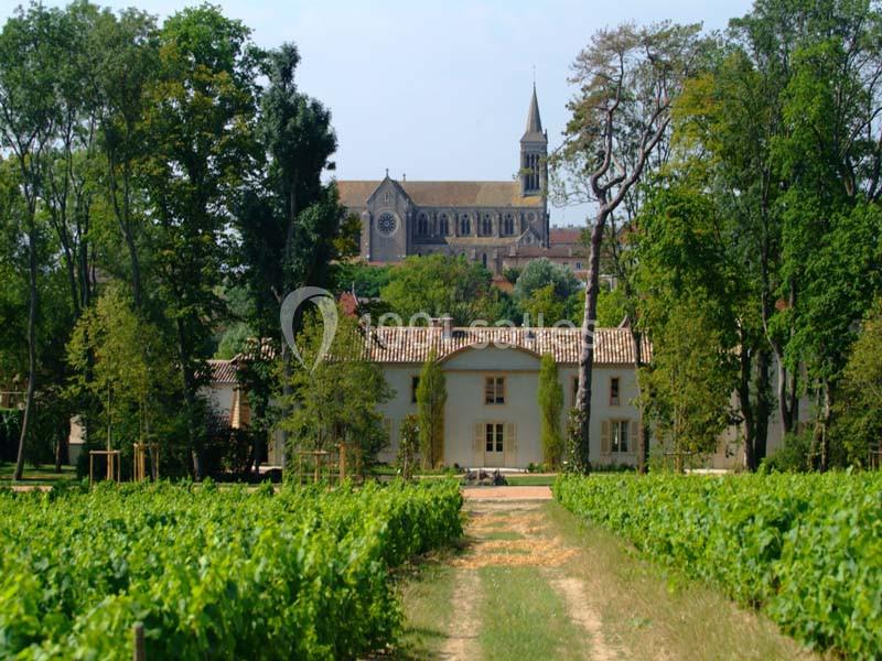 Vue d'une maison entourée de vignes avec une église en arrière-plan, sous un ciel dégagé.