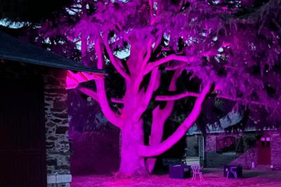 Location salle Le Pin-en-Mauges (Maine-et-Loire) - Domaine de la Jousselinière #20