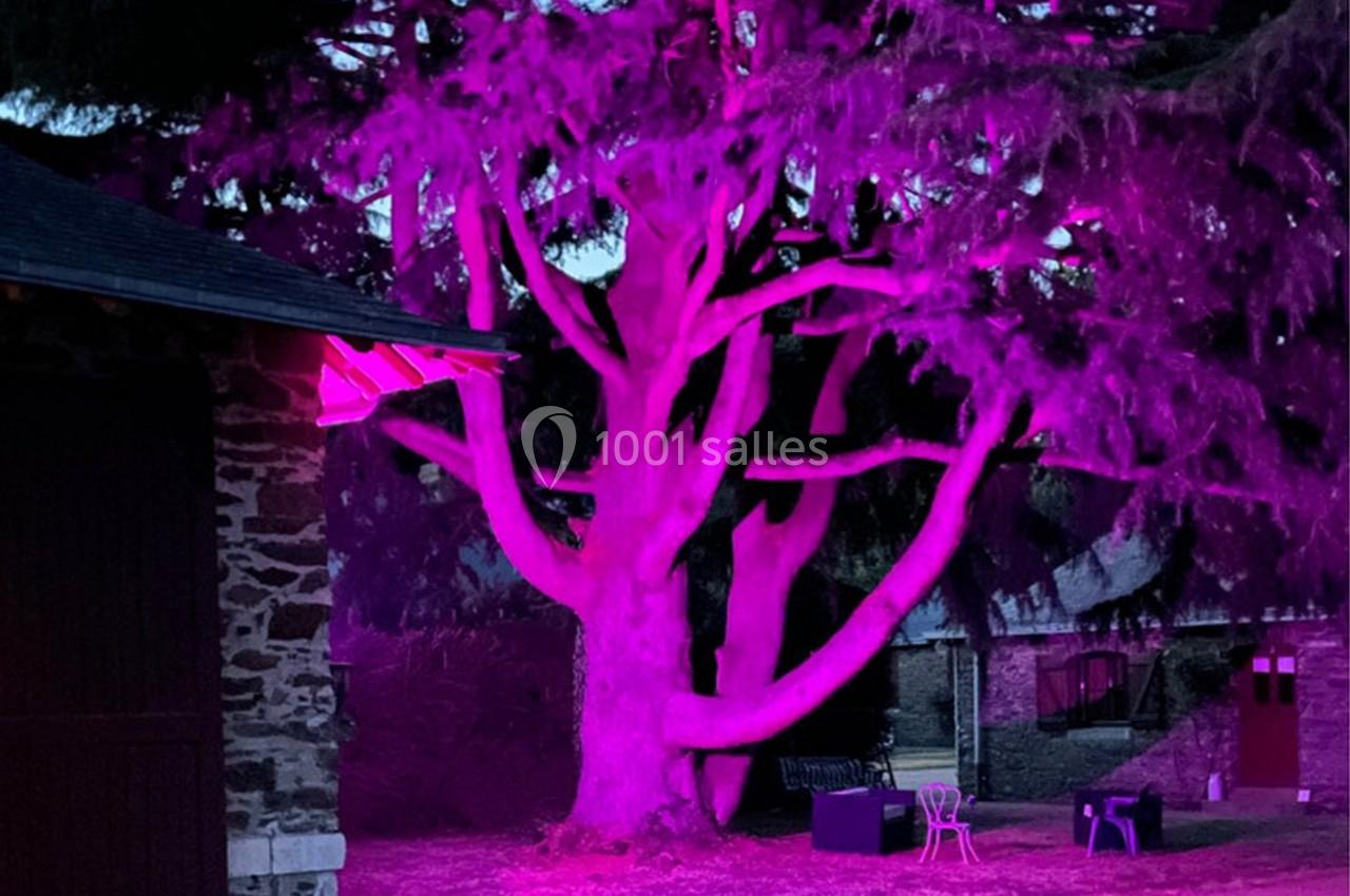 Location salle Le Pin-en-Mauges (Maine-et-Loire) - Domaine de la Jousselinière #20