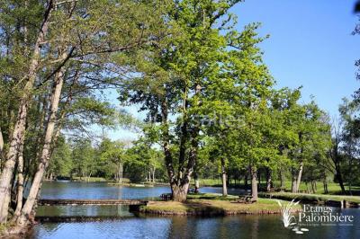 Les Etangs De La Palombière