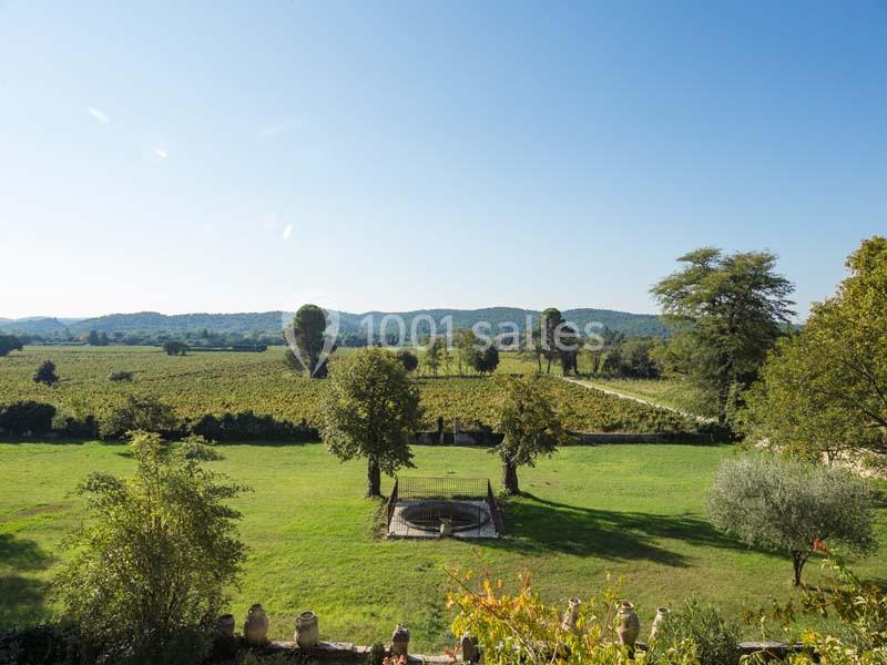 Vue d'un paysage rural avec des vignes, des arbres et une pelouse verdoyante sous un ciel dégagé.