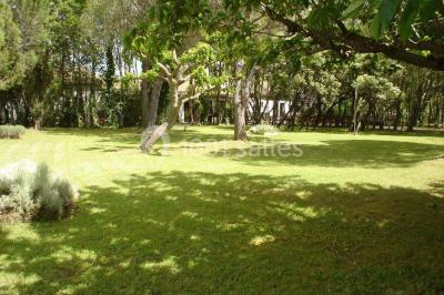 Location salle Arles (Bouches-du-Rhône) - La Nuit Etoilée #20