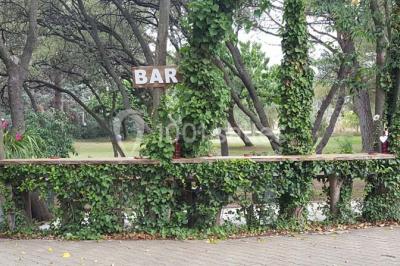 Location salle Arles (Bouches-du-Rhône) - La Nuit Etoilée #20