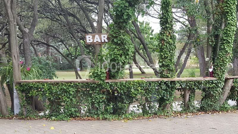 Location salle Arles (Bouches-du-Rhône) - La Nuit Etoilée #10