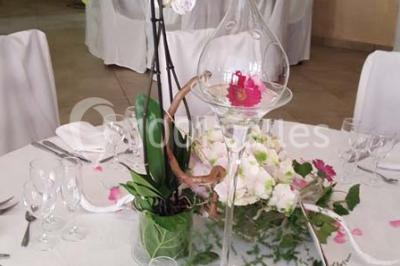 Location salle Arles (Bouches-du-Rhône) - La Nuit Etoilée #20