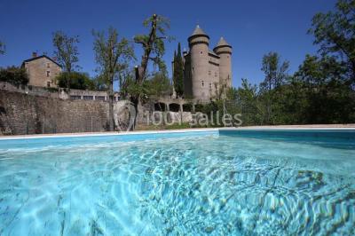 Location salle Rivière-sur-Tarn (Aveyron) - Château De Lugagnac #18