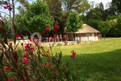Un couple en tenue de mariage pose devant un groupe de cavaliers alignés sur des chevaux dans un espace verdoyant.