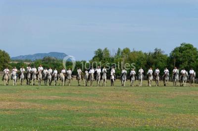 Un couple en tenue de mariage pose devant un groupe de cavaliers alignés sur des chevaux dans un espace verdoyant.