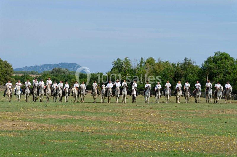 Groupe de cavaliers en chemises blanches montant des chevaux gris sur une plaine herbeuse, avec des arbres en arrière-plan.