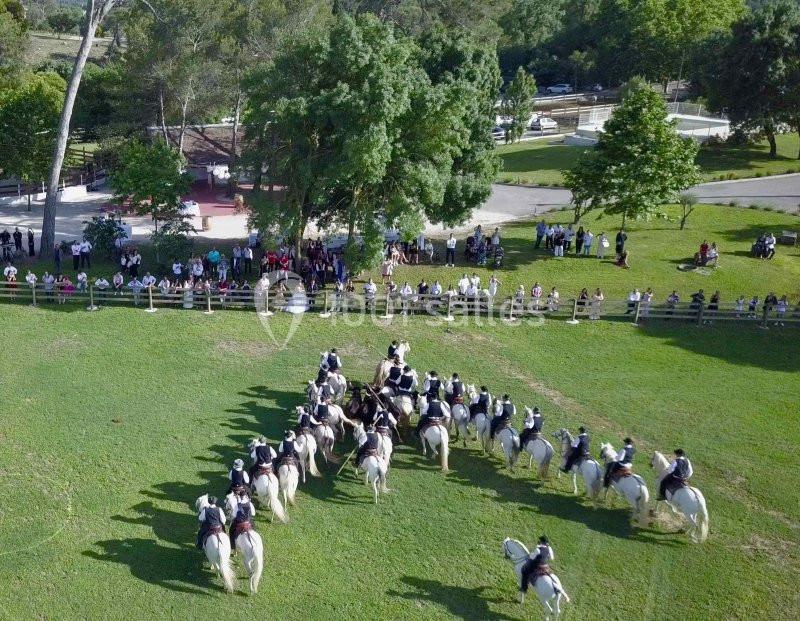 Cavaliers en uniforme sur des chevaux blancs formant une formation triangulaire dans un parc devant un public.