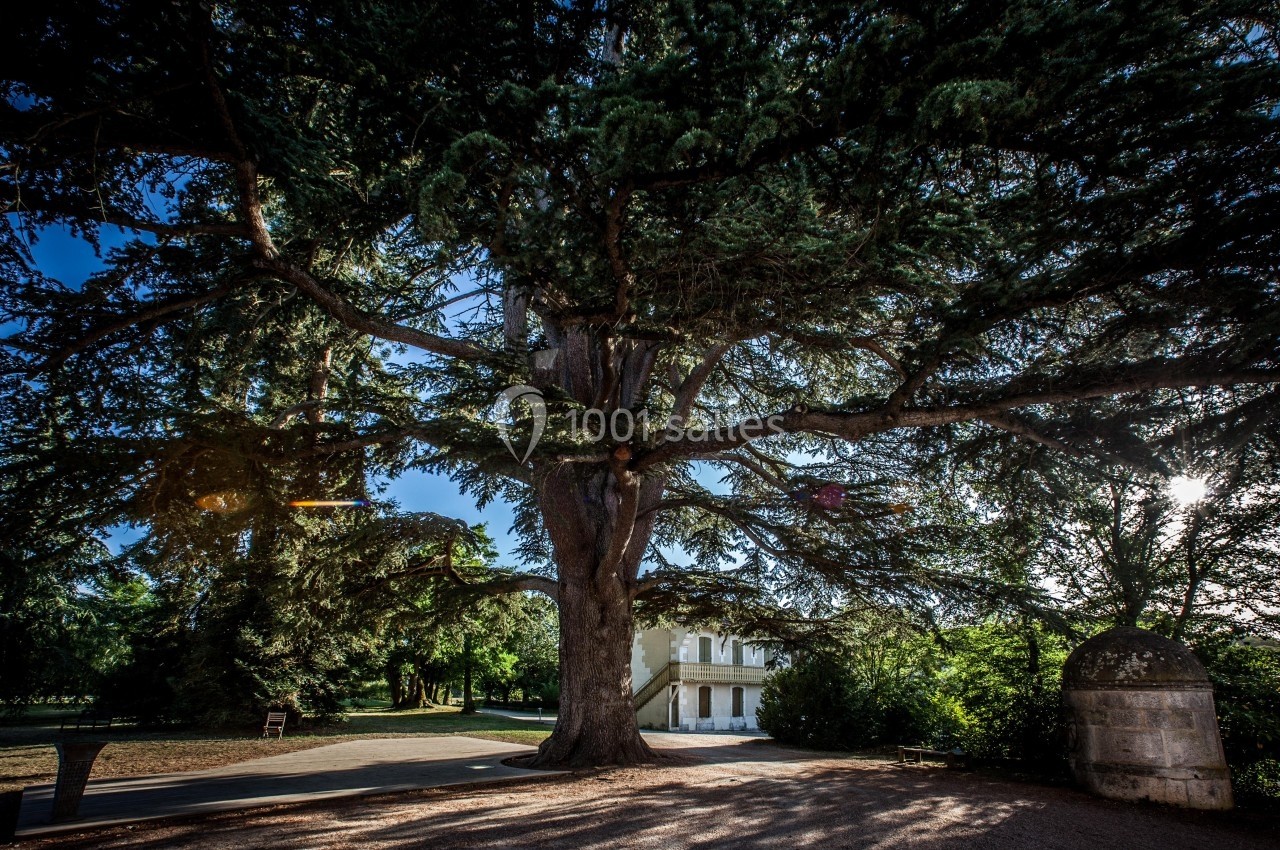 Location salle Saint-Yrieix-sur-Charente (Charente) - Château De La Pouyade #10