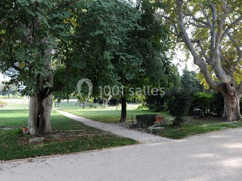 Allée de gravier traversant un jardin arboré avec bancs en pierre et végétation dense.