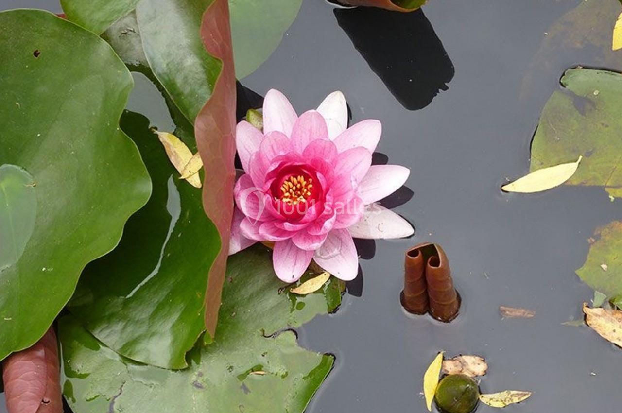 Location salle Nanterre (Hauts-de-Seine) - Le Pavillon des Berges #38