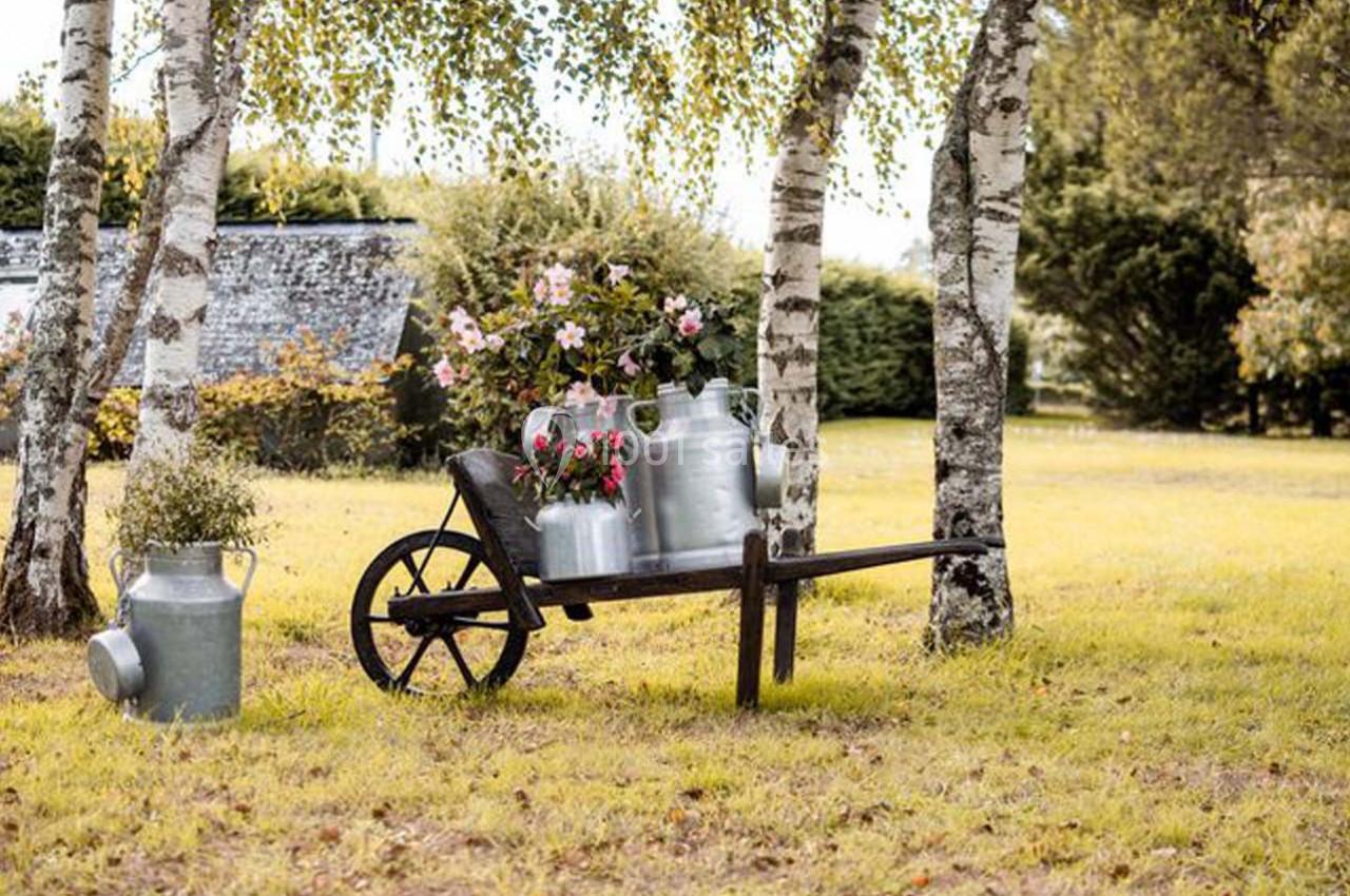Brouette en bois avec des pots en métal et des fleurs, posée sur une pelouse entourée de bouleaux.