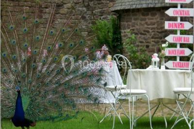 Location salle Lanloup (Côtes-d'Armor) - Manoir de la Noë Verte #16