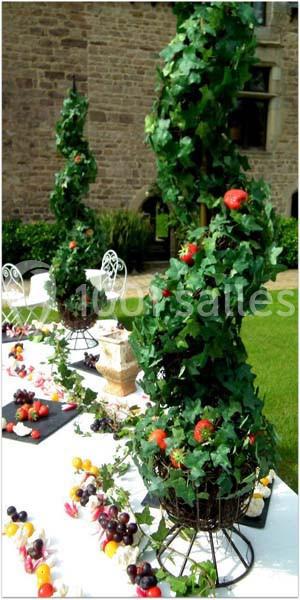 Location salle Lanloup (Côtes-d'Armor) - Manoir de la Noë Verte #16