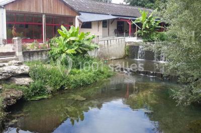 Miniature Location salle Onzain (Loir-et-Cher) - Le Manoir du Moulin #17 Vue depuis une terrasse rouge sur un petit cours d'eau bordé d'arbres, avec des maisons en arrière-plan.