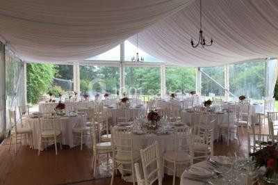 Statue en pierre près d'un escalier en briques, avec des hortensias roses en pots au premier plan.