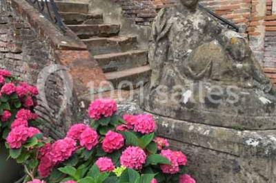 Statue en pierre près d'un escalier en briques, avec des hortensias roses en pots au premier plan.