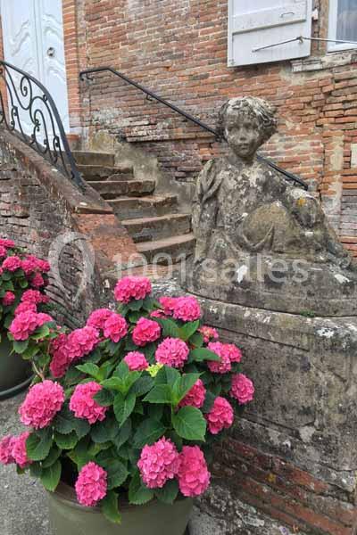 Statue en pierre près d'un escalier en briques, avec des hortensias roses en pots au premier plan.