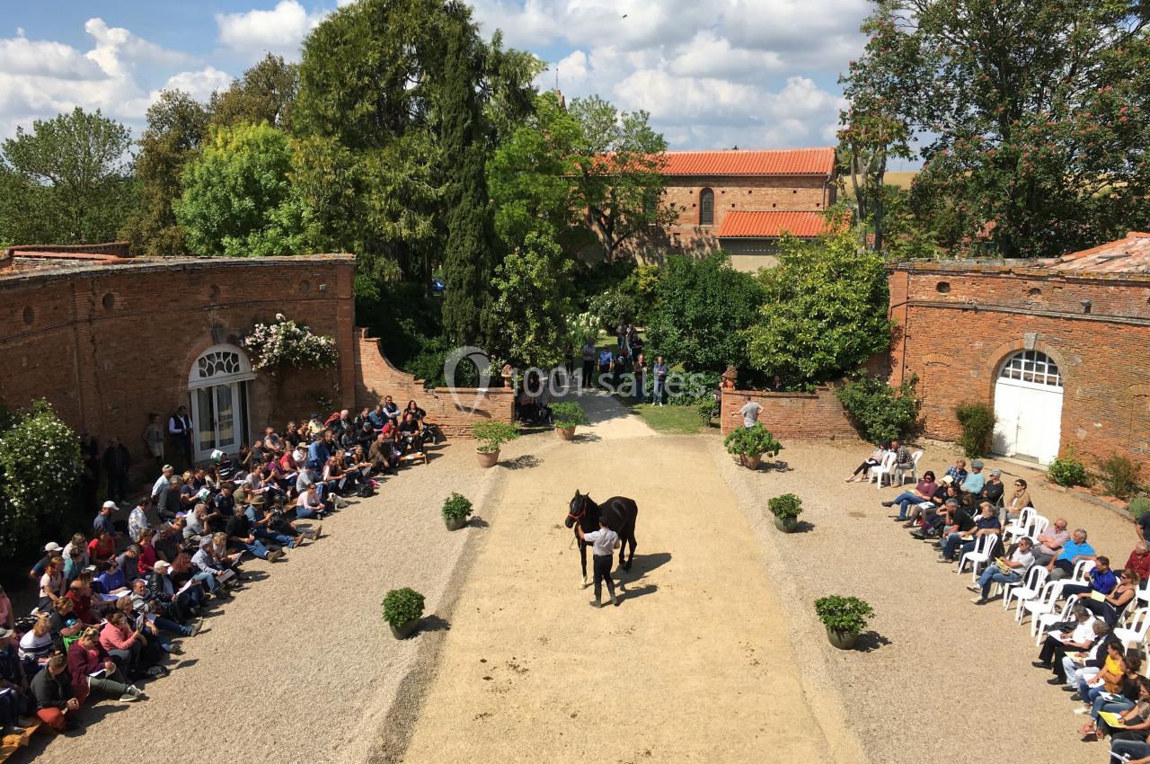 Un cheval présenté au centre d'une cour entourée de spectateurs assis sur des chaises et des murs en briques.