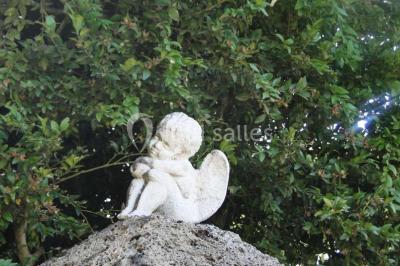 Location salle Saint-Just-de-Claix (Isère) - Château des Anges #24