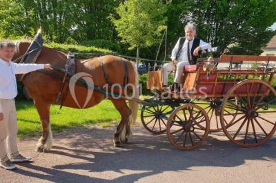 Miniature Location salle Beaulon (Allier) - Château de Beaulon #19 Vue nocturne d'un château illuminé entouré d'arbres, avec une allée sombre au premier plan.