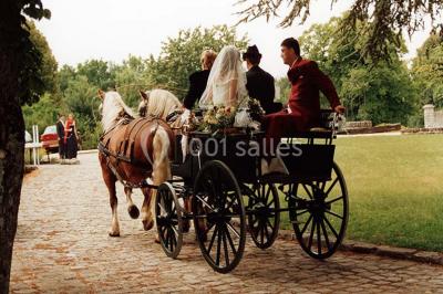 Location salle Soisy-Bouy (Seine-et-Marne) - Château De Montrame #15