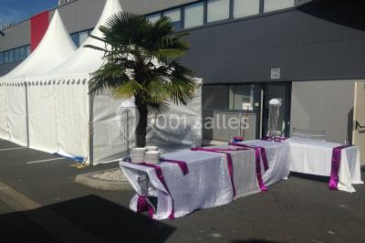 Vue d'un jardin clôturé avec pelouse, deux pots rouges contenant des plantes et un premier plan de feuilles vertes.