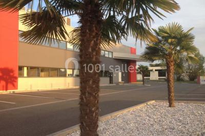 Vue d'un jardin clôturé avec pelouse, deux pots rouges contenant des plantes et un premier plan de feuilles vertes.